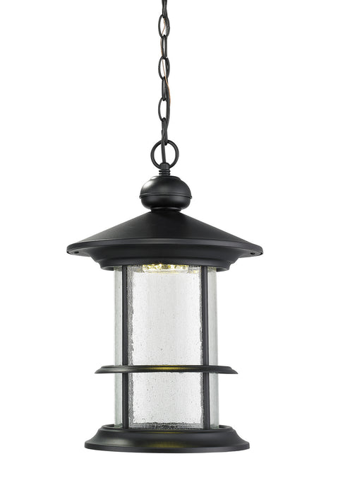 Z-Lite 552CHB-BK-LED LED Outdoor Chain Mount, Black