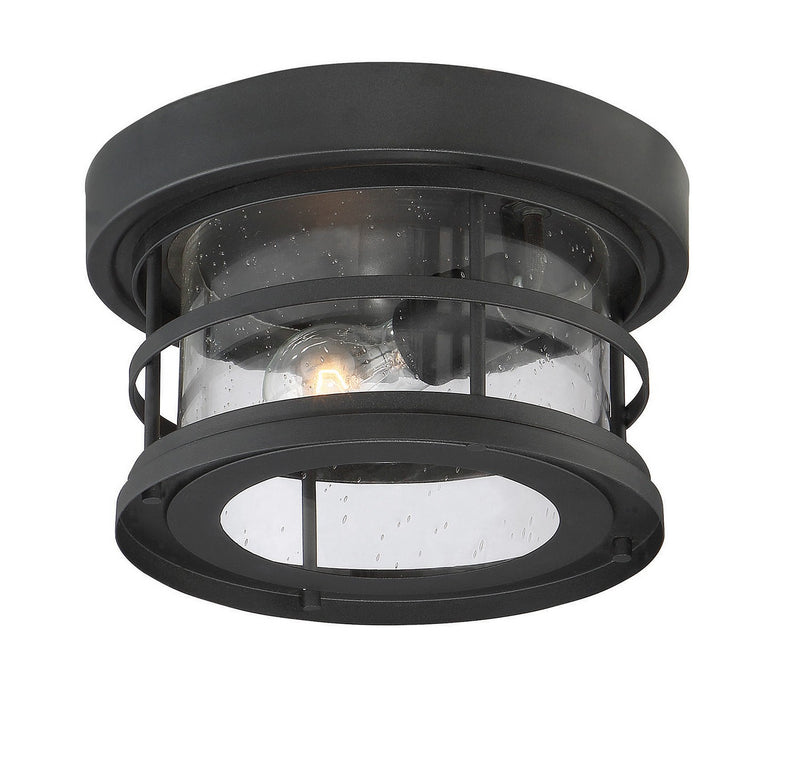 Savoy House 5-369-10-BK One Light Flush Mount, Black