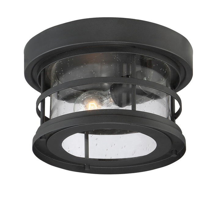 Savoy House 5-369-10-BK One Light Flush Mount, Black