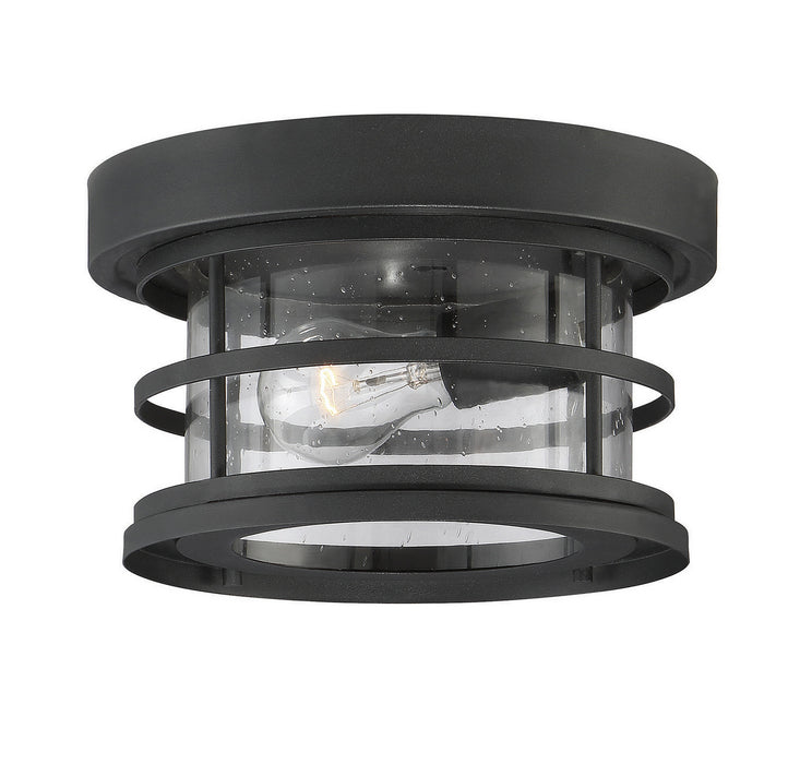 Savoy House 5-369-10-BK One Light Flush Mount, Black