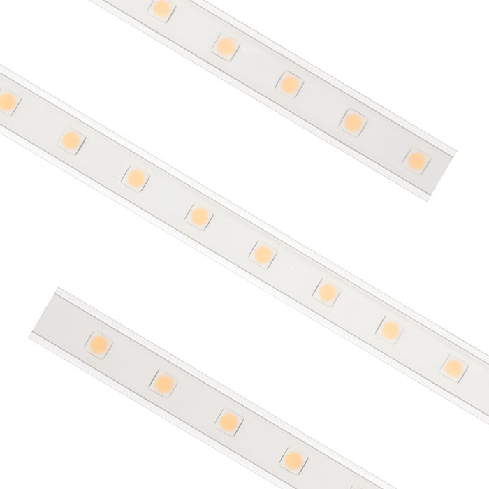 American Lighting 120-H2-WH LED 150 foot Reel, White