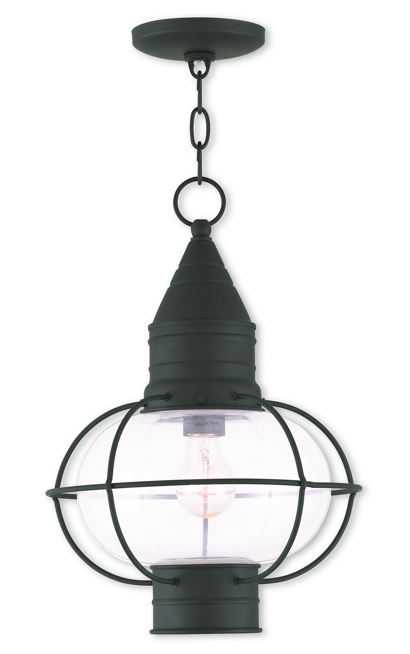 Livex Lighting 26906-04 One Light Outdoor Pendant, Black