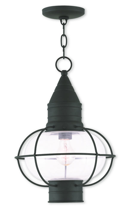 Livex Lighting 26906-04 One Light Outdoor Pendant, Black