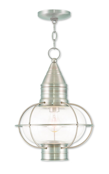 Livex Lighting 26906-91 One Light Outdoor Pendant, Brushed Nickel