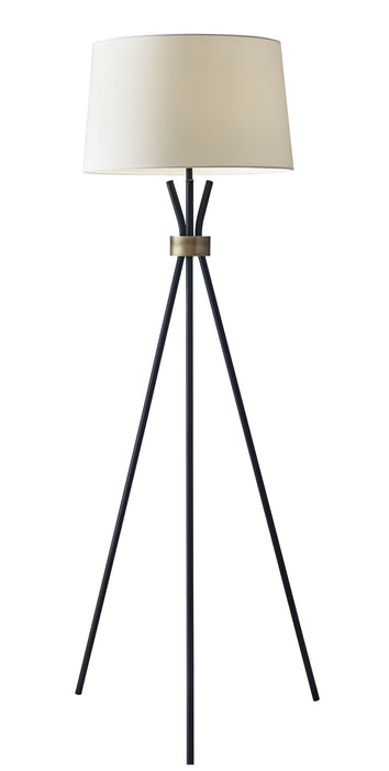 Adesso Home 3835-01 Floor Lamp, Black