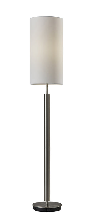 Adesso Home 4174-22 Floor Lamp, Brushed Steel