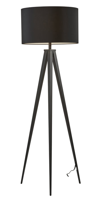 Adesso Home 6424-01 Floor Lamp, Black