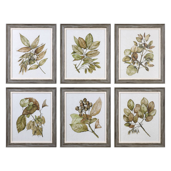 Uttermost 33643 Wall Art, Woodtones w/Gray Undertones