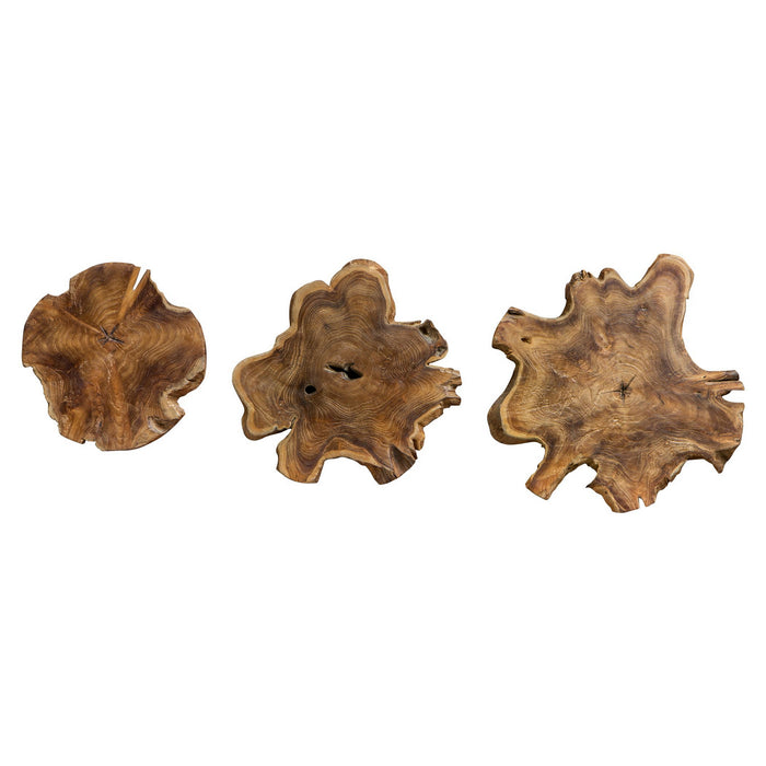 Uttermost 04085 Wall Art, Natural Teak Wood