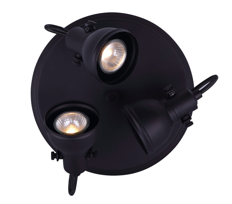 Canarm ICW622A03ORB10 Three Light Ceiling/Wall Mount, Oil Rubbed Bronze