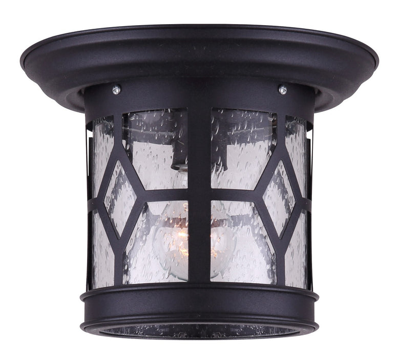 Canarm IOL207BK One Light Outdoor Downlight, Black