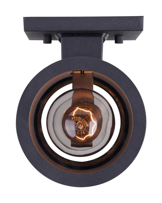 Canarm IOL282BK Two Light Outdoor Lantern, Black