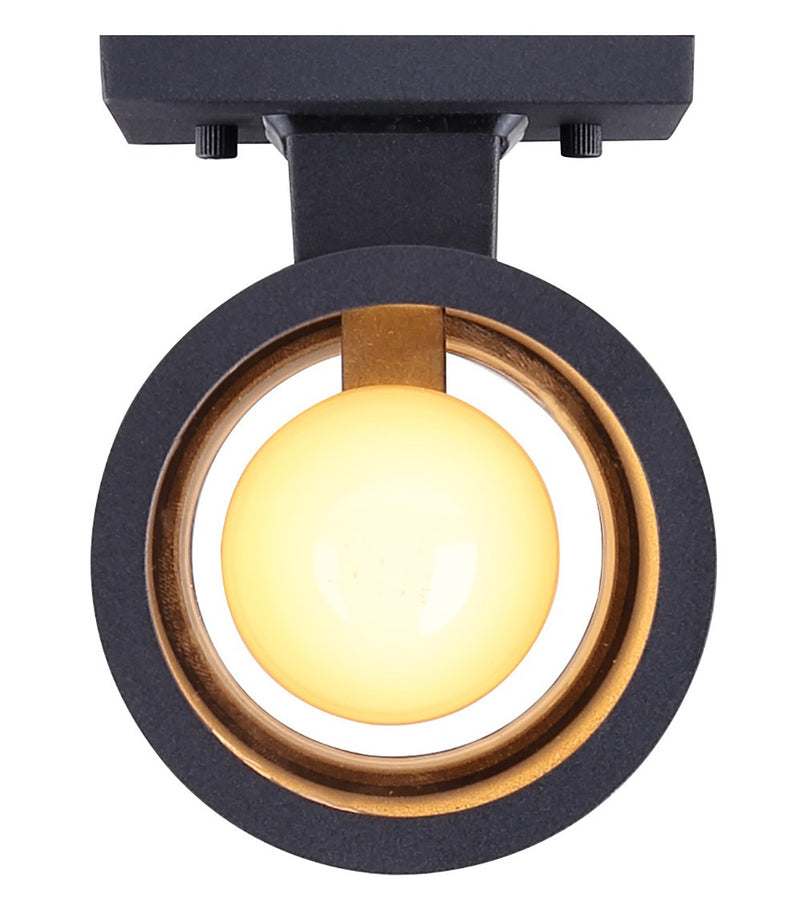 Canarm IOL282BK Two Light Outdoor Lantern, Black
