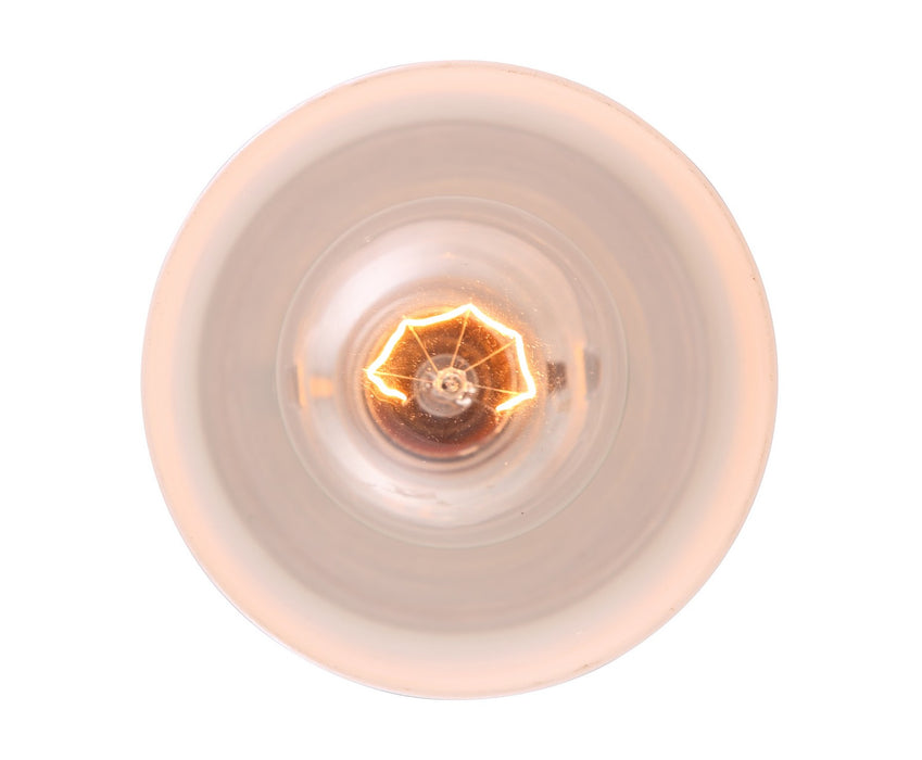 Canarm IPL359A01BPT One Light Pendant, Brushed Pewter