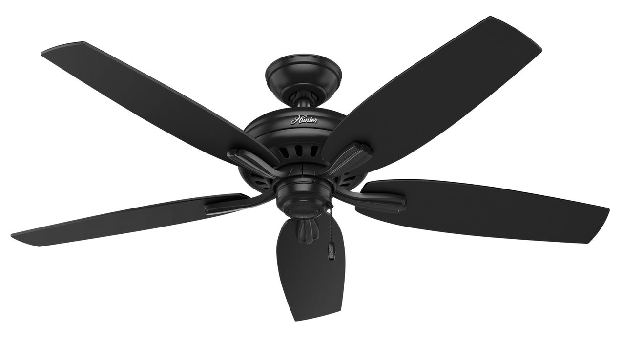 Hunter 53324 52" Ceiling Fan, Matte Black