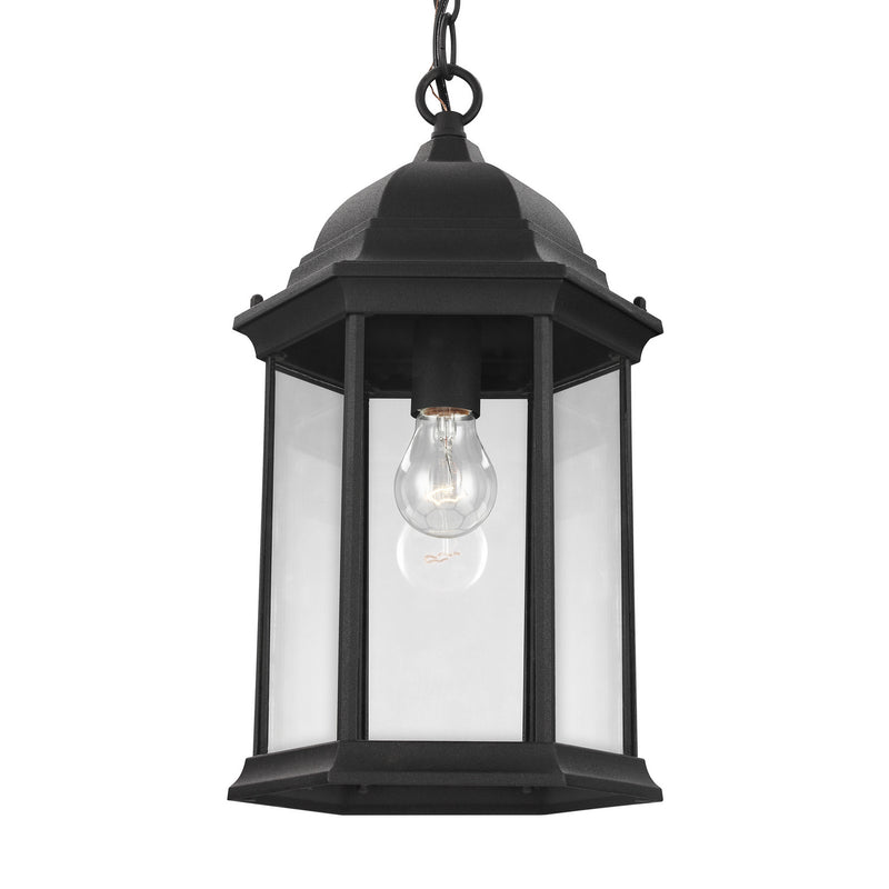Generation Lighting 6238701-12 One Light Outdoor Pendant, Black