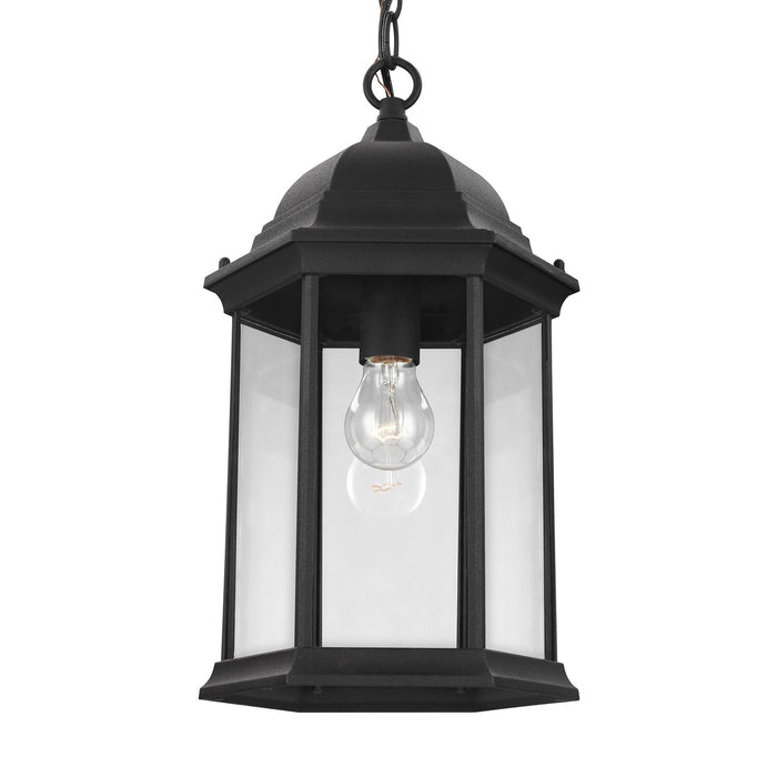 Generation Lighting 6238701-12 One Light Outdoor Pendant, Black