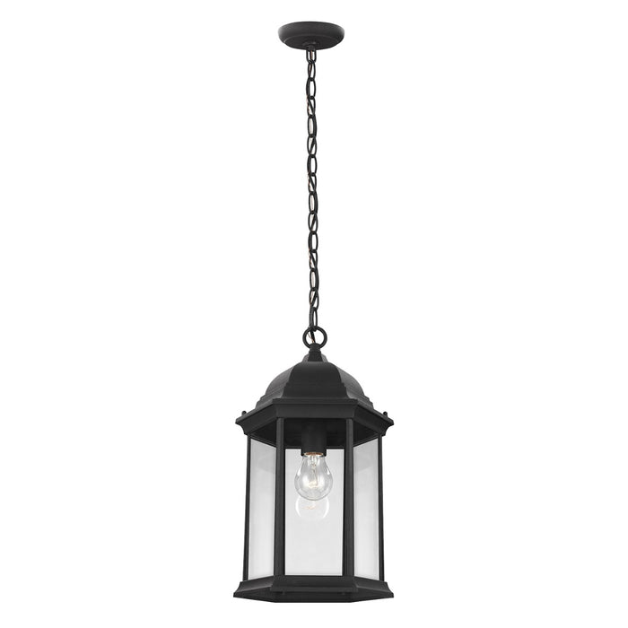 Generation Lighting 6238701-12 One Light Outdoor Pendant, Black