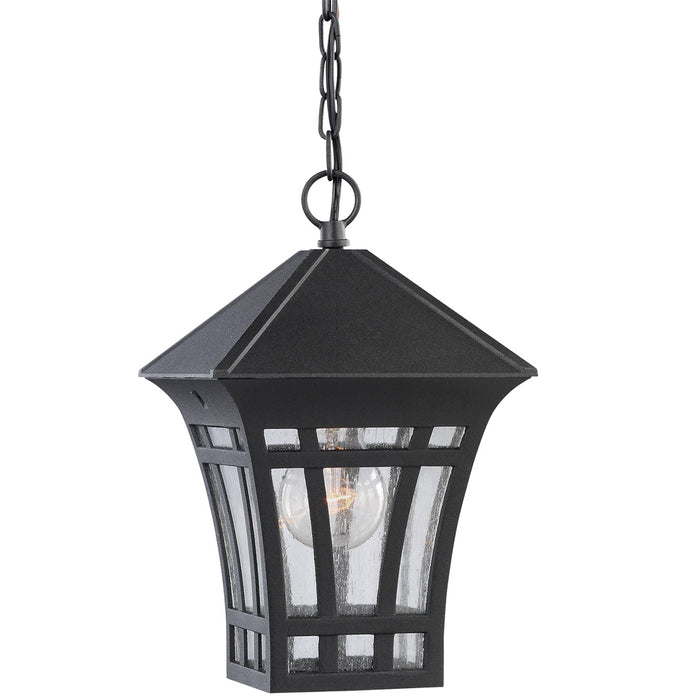 Generation Lighting 69131-12 One Light Outdoor Pendant, Black