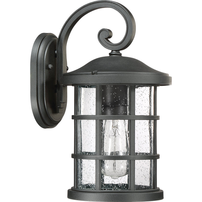 Quoizel CSE8408EK One Light Outdoor Wall Lantern, Earth Black
