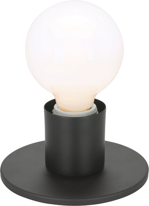 Nuvo Lighting 60-4804 One Light Dual Surface Mount, Dark Bronze
