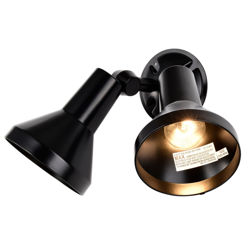 Nuvo Lighting SF77-701 Two Light Floodlight, Black