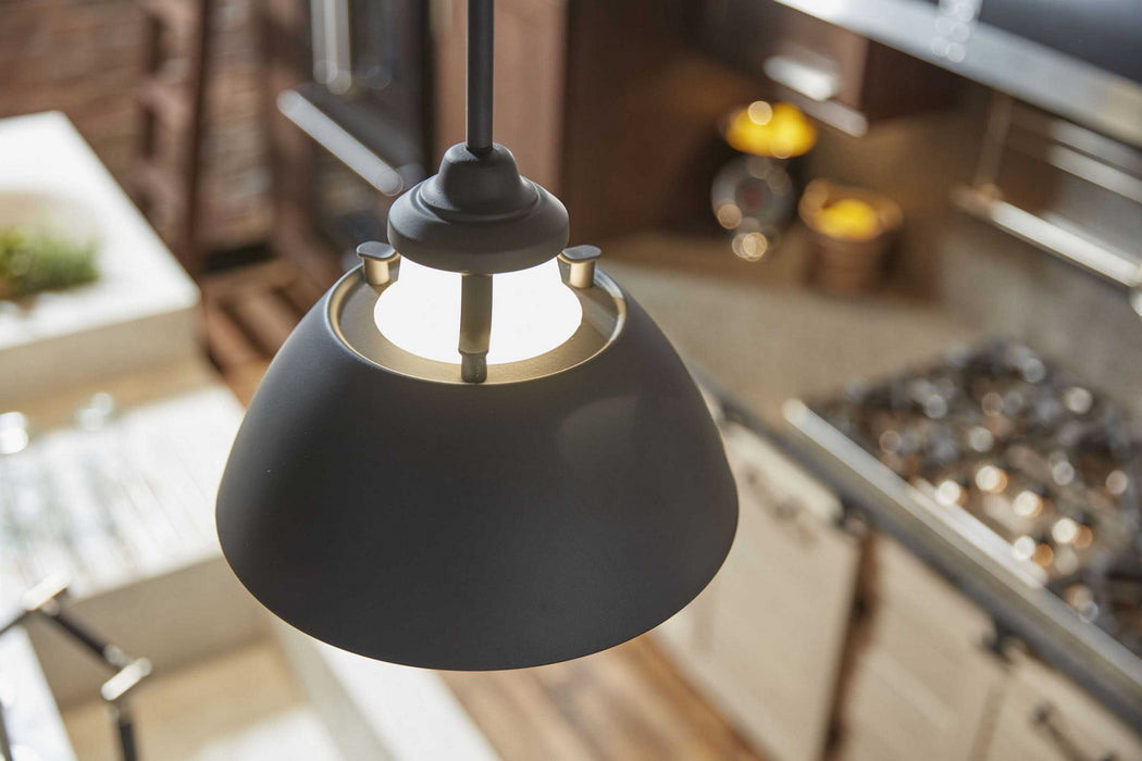 Progress Lighting P500013-143 One Light Pendant, Graphite