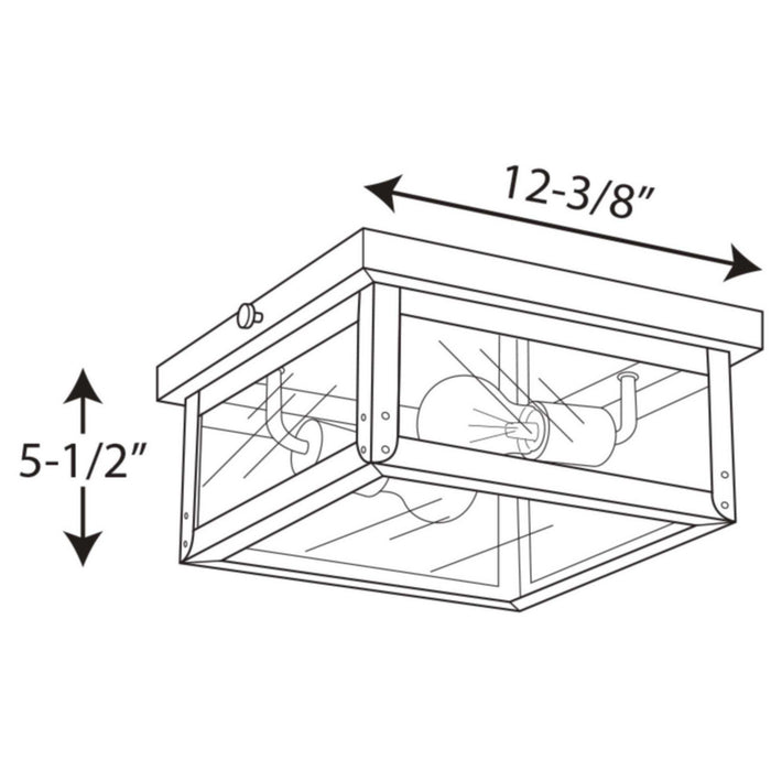Progress Lighting P550007-135 Two Light Flush Mount, Stainless Steel