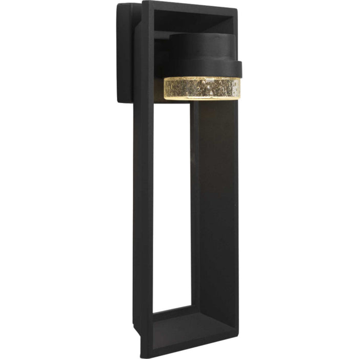 Progress Lighting P560029-031-30 LED Wall Lantern, Black