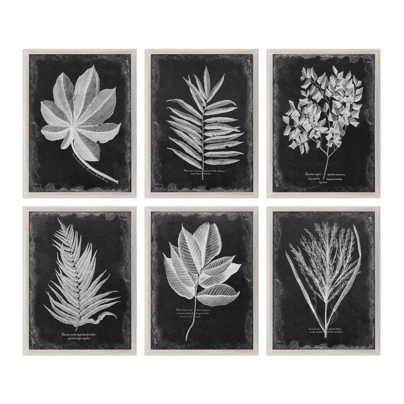 Uttermost 33671 Wall Art, Champagne Silver