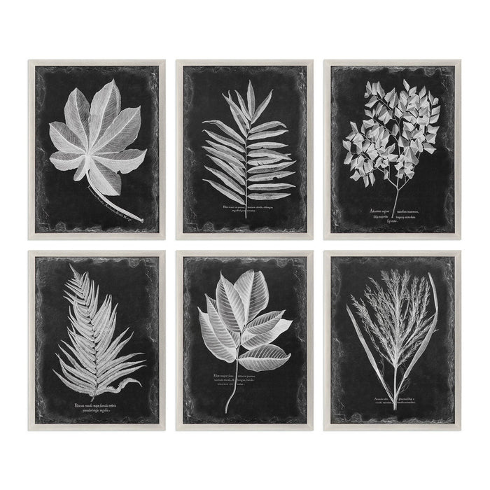 Uttermost 33671 Wall Art, Champagne Silver