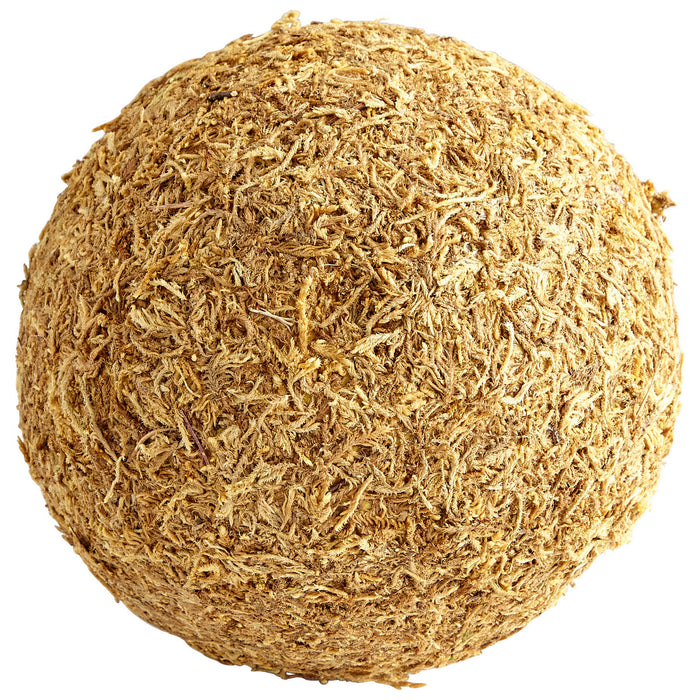 Cyan 07296 Filler, Brown Moss