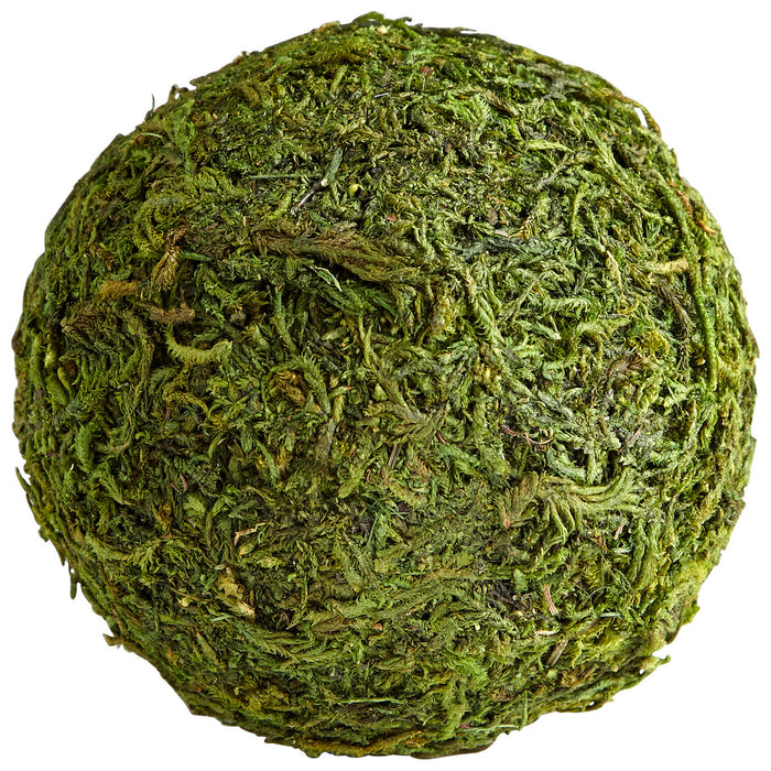 Cyan 07298 Filler, Green Moss
