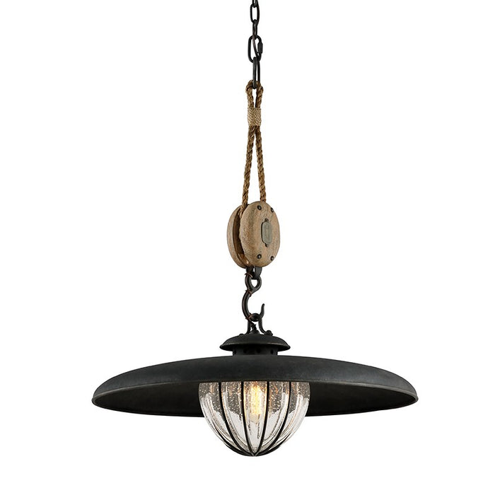 Troy Lighting F4906-FOR One Light Pendant, Forged Iron