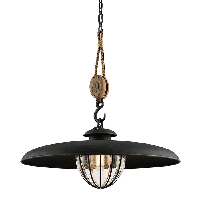 Troy Lighting F4907-FOR One Light Pendant, Forged Iron