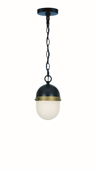 Crystorama CAP-8505-MK-TG One Light Outdoor Pendant, Matte Black / Textured Gold
