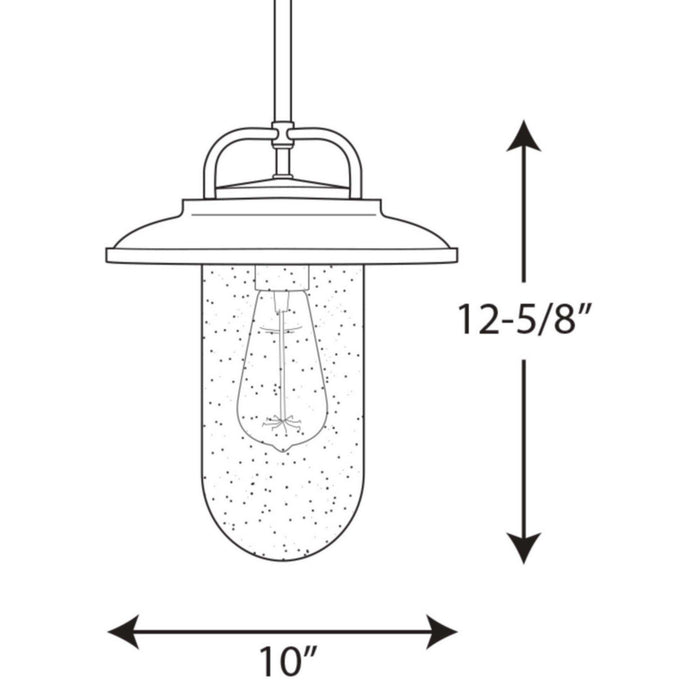 Progress Lighting P550019-031 One Light Hanging Lantern, Black