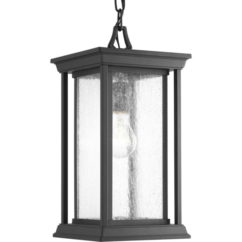 Progress Lighting P5500-31 One Light Hanging Lantern, Black