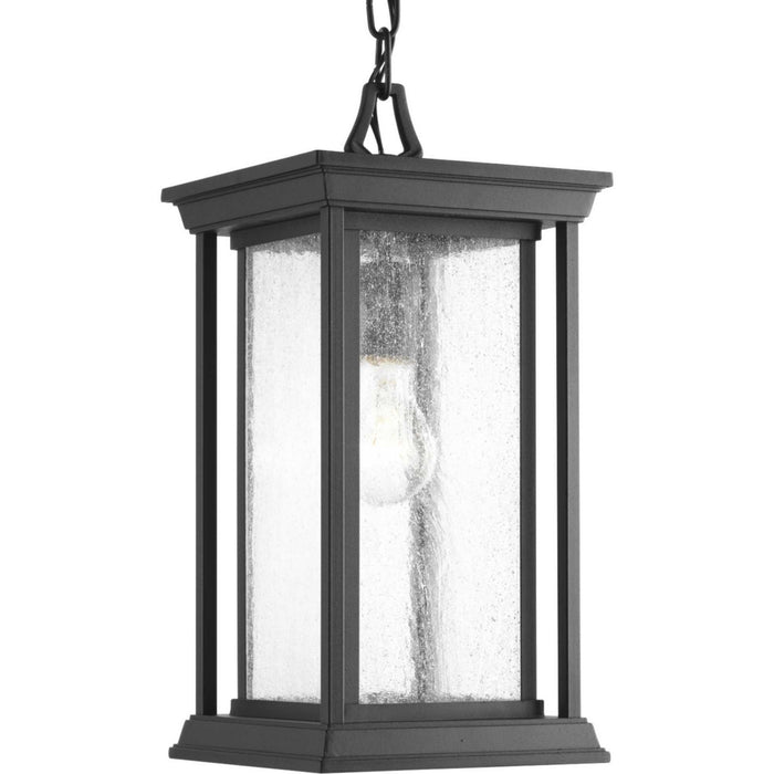 Progress Lighting P5500-31 One Light Hanging Lantern, Black