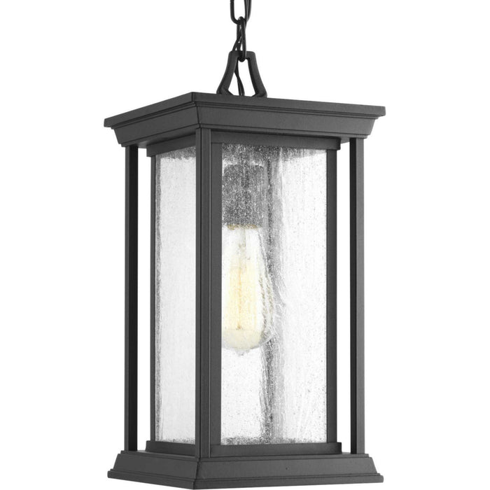 Progress Lighting P5500-31 One Light Hanging Lantern, Black