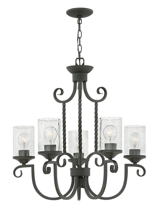 Hinkley 4015OL-CL LED Foyer Pendant, Olde Black with Clear Seedy glass
