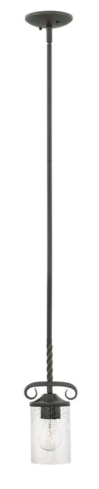Hinkley 4017OL-CL LED Pendant, Olde Black with Clear Seedy glass