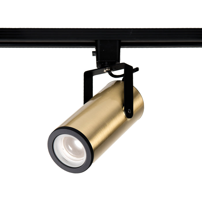 W.A.C. Lighting H-2020-930-BR LED Track Head, Brushed Brass
