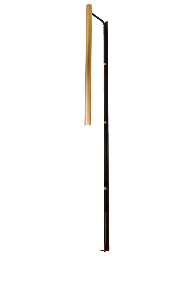 Meyda Tiffany 192953 LED Wall Sconce, Flat Black/Natural Brass