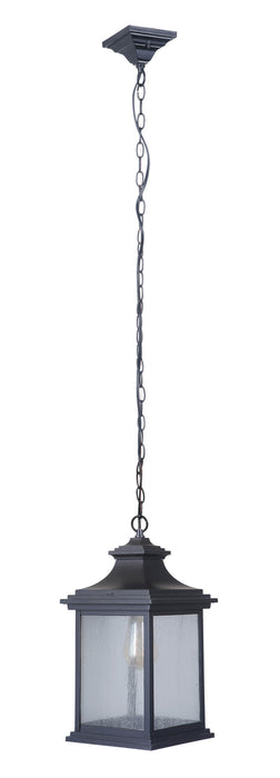 Craftmade Z3211-MN One Light Outdoor Pendant, Midnight