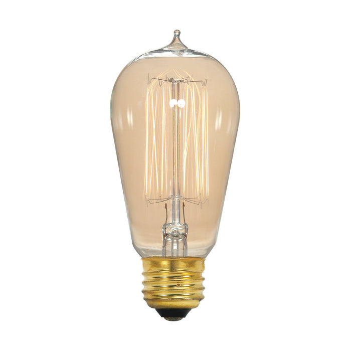 Satco S2413 Light Bulb, Clear