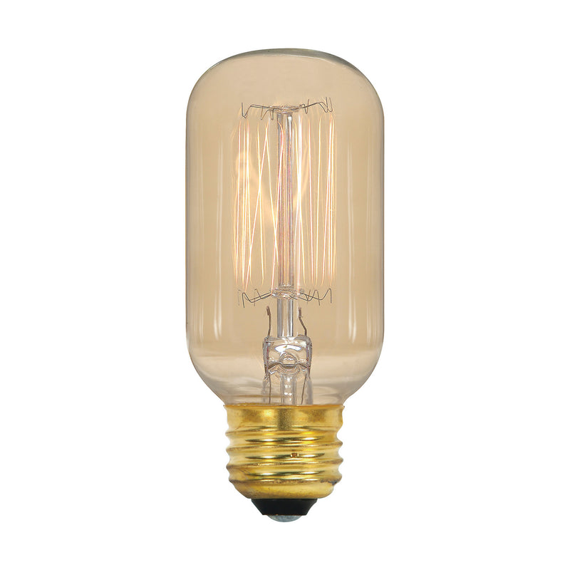 Satco S2417 Light Bulb, Clear