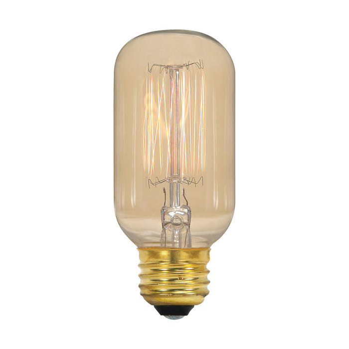 Satco S2417 Light Bulb, Clear