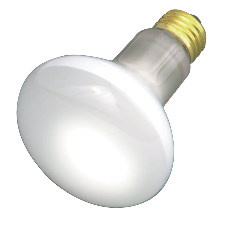 Satco S3210 Light Bulb, Frost