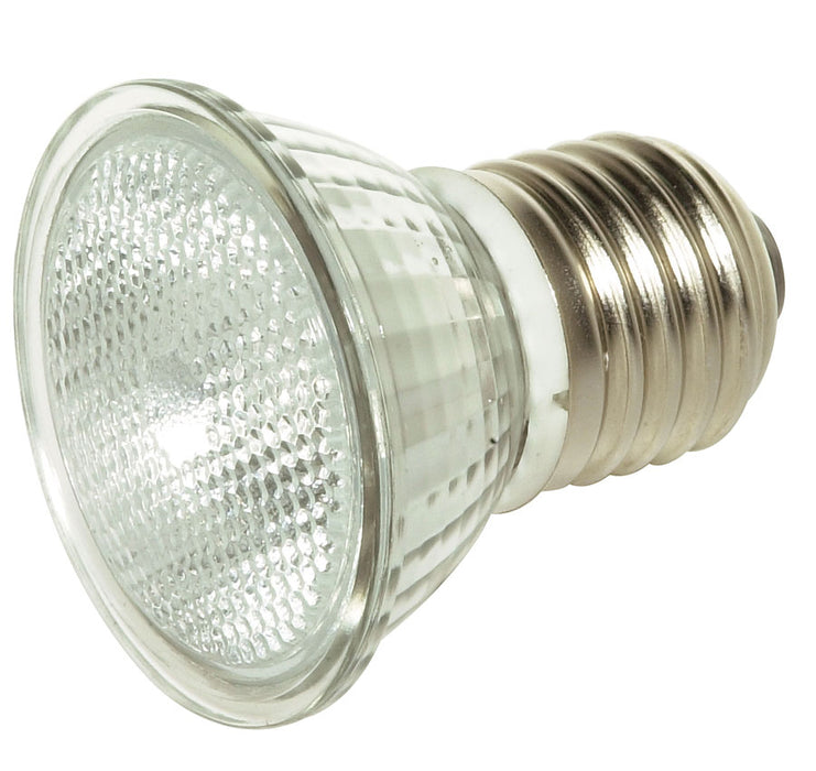 Satco S4623 Light Bulb, Clear